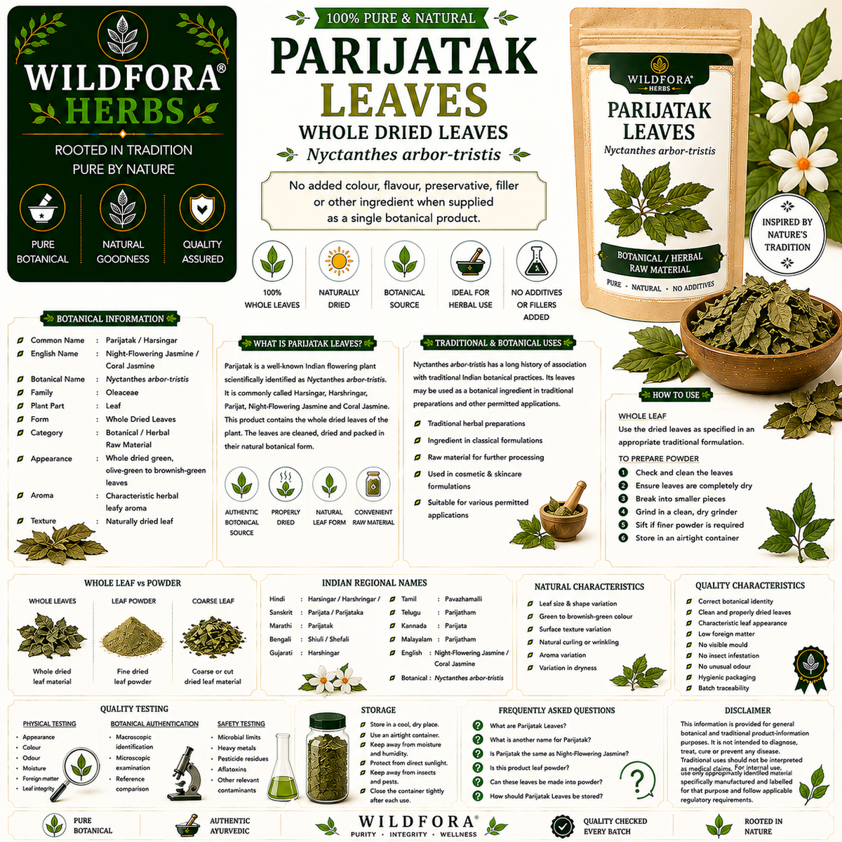 Parijatak Leaves Whole Nyctanthes Arbor Tristis Night Jasmine Leaf