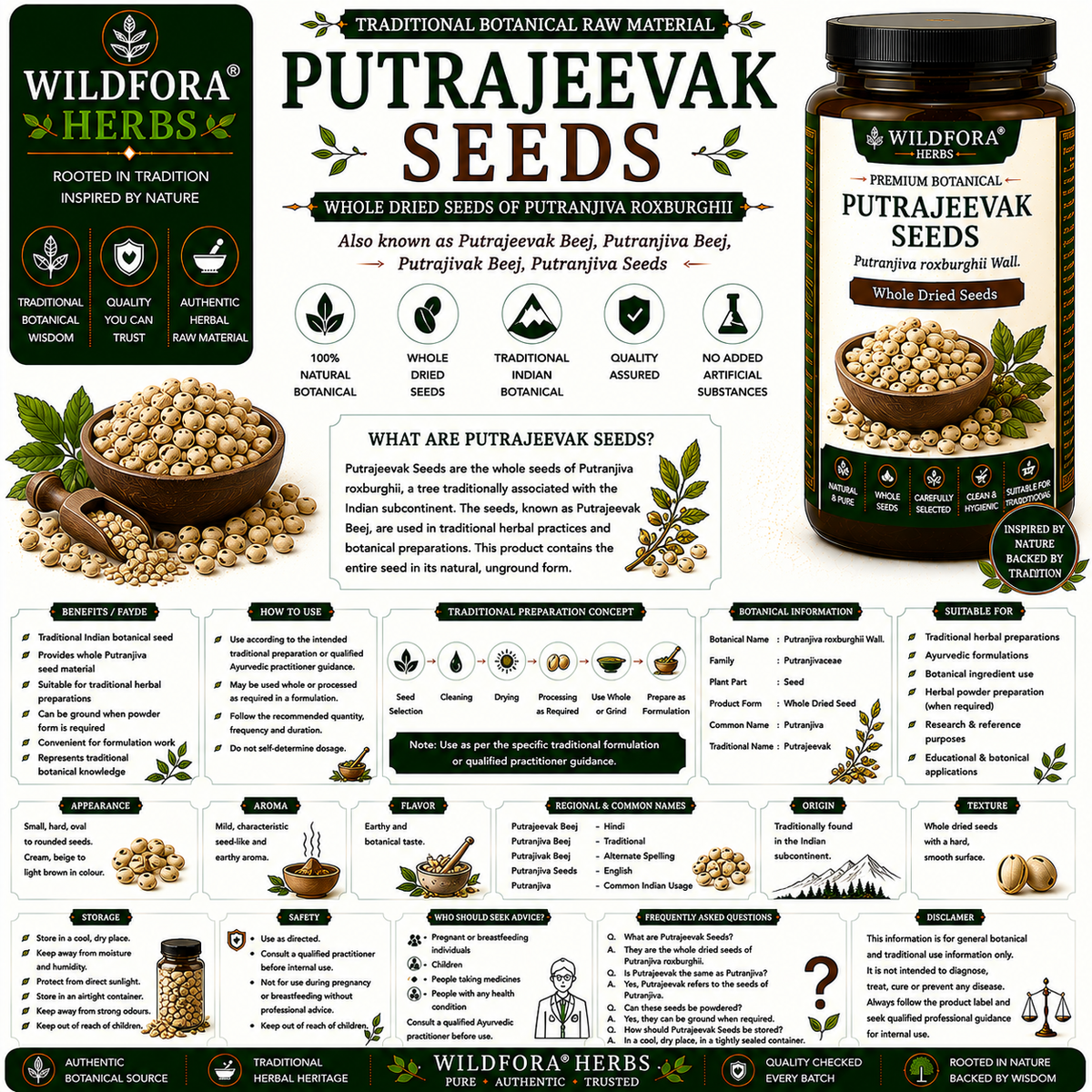 Putrajeevak Seeds Putranjiva Roxburghii Whole Natural Putrajivak Beej