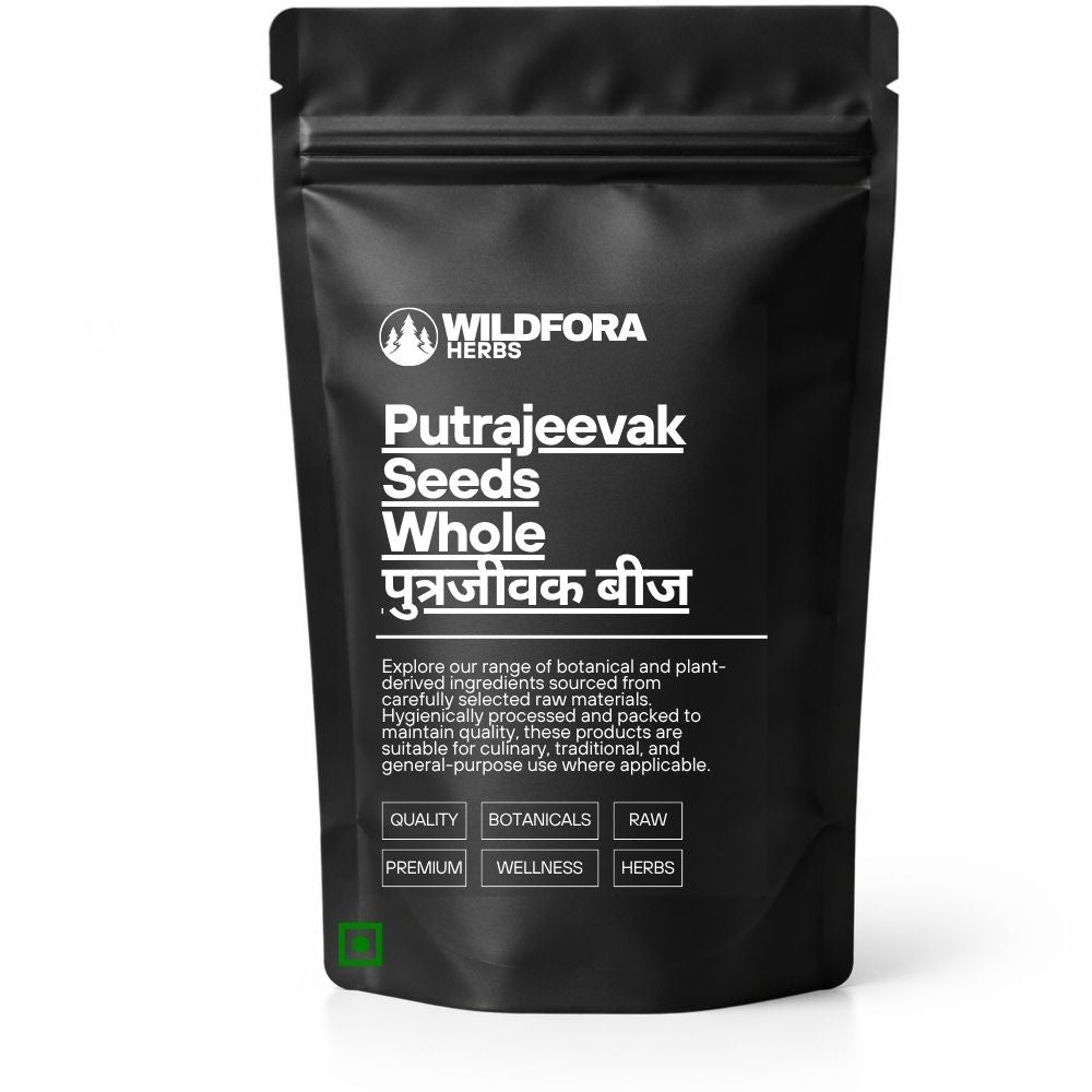 Putrajeevak Seeds (Putranjiva roxburghii) - Premium Natural Whole Putrajivak Beej | Botanical Raw Material