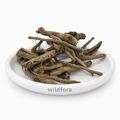 Rasna Root (Pluchea lanceolata) - Premium Natural Whole Rasnamool Herbal Root | Botanical Raw Material
