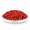 Red Gunja Abrus Precatorius Whole Natural Gunja Beads