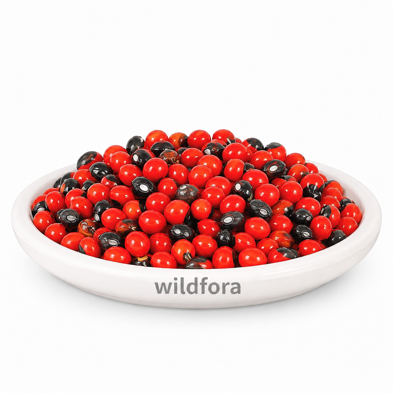 Red Gunja Abrus Precatorius Whole Natural Gunja Beads