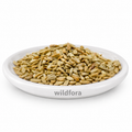 Roasted Sunflower Seeds Without Shell (Helianthus annuus) - Premium Whole Roasted Sunflower Kernels | Food Grade Edible Seeds