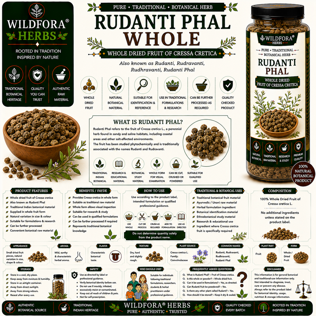Rudanti Phal Cressa Cretica Rudravanti Phal Whole