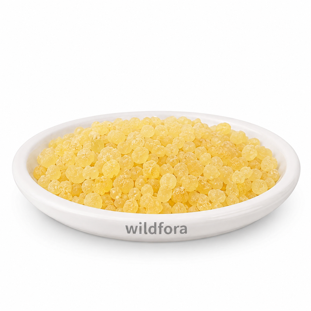 Rumi Mastagi Mastic Gum Pistacia Lentiscus Whole