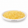 Rumi Mastagi Mastic Gum Pistacia Lentiscus Whole