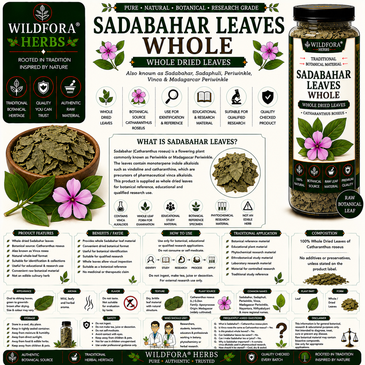 Sadabahar Leaves Periwinkle Vinca Rosea Whole | Catharanthus Roseus Dried Leaf