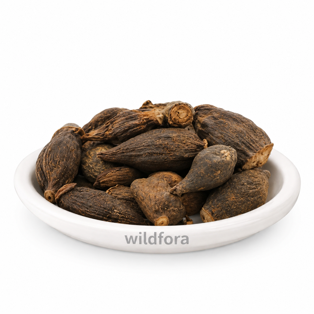 Salab Gatta (Orchis laxiflora Root) - Premium Natural Whole Orchid Root | Botanical Raw Material
