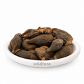 Salab Gatta (Orchis laxiflora Root) - Premium Natural Whole Orchid Root | Botanical Raw Material