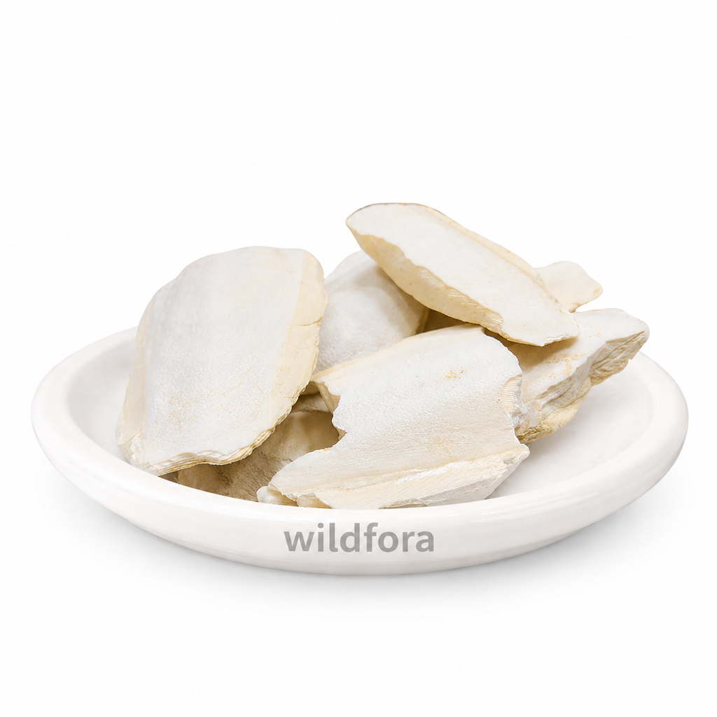 Samandar Jhag (Sepiae Os) - Premium Natural Whole Sea Foam | Marine-Derived Raw Material