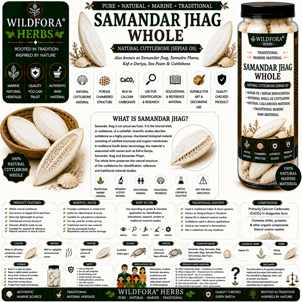 Samandar Jhag Sepiae Os Sea Foam Whole Natural Marine Product