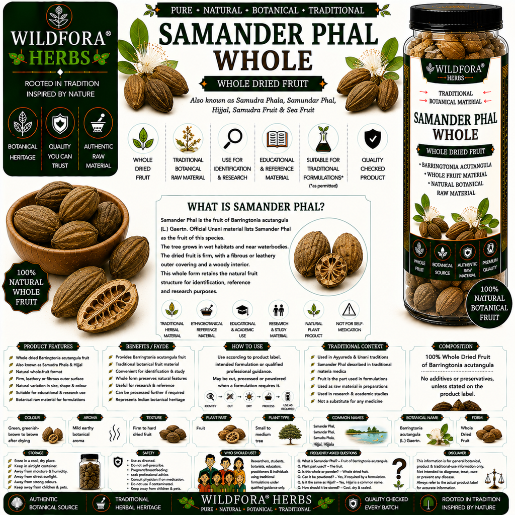 Samander Phal Samudra Fruit Whole Barringtonia Acutangula | Herbal Fruit