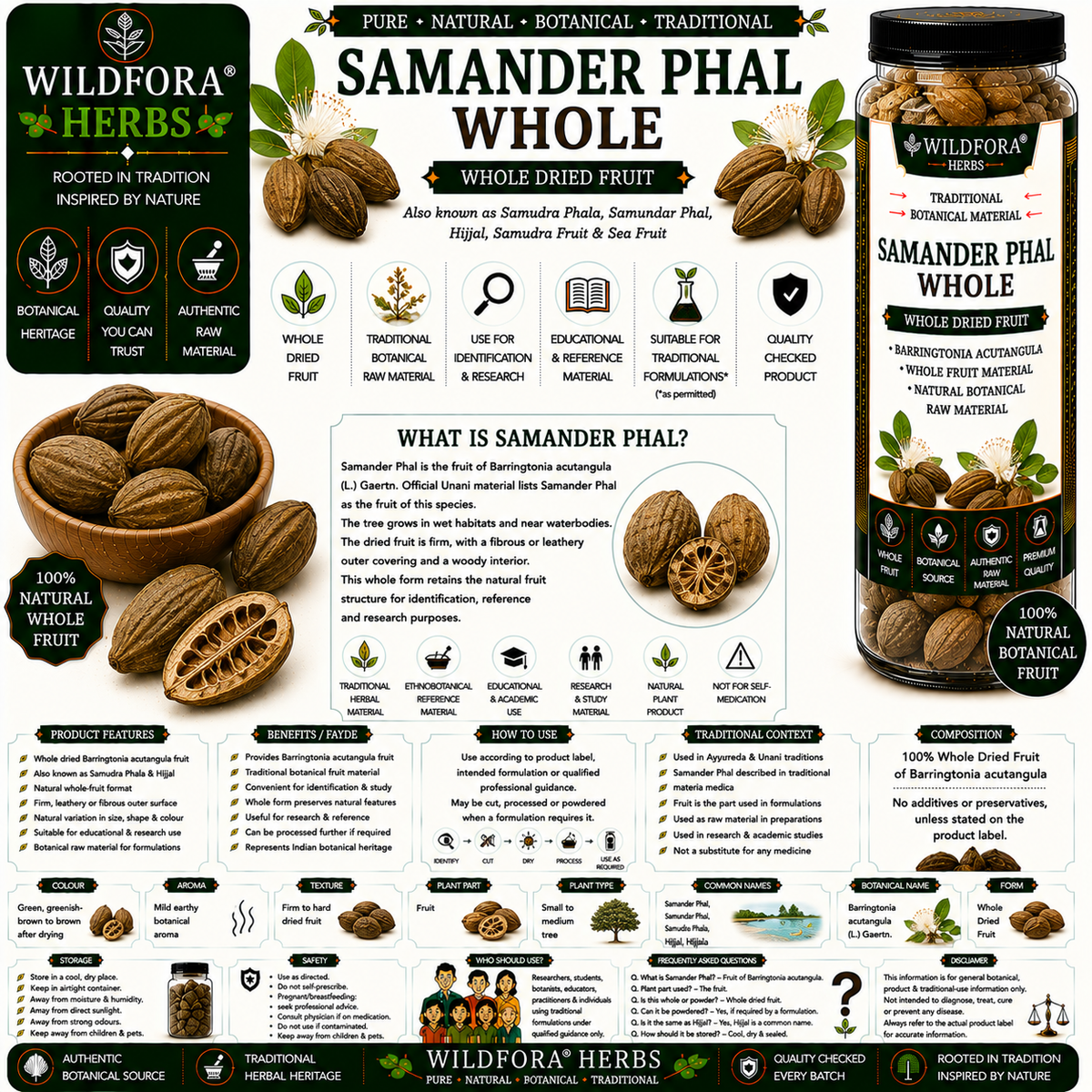 Samander Phal Samudra Fruit Whole Barringtonia Acutangula | Herbal Fruit