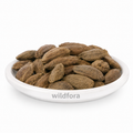 Samander Phal (Samudra Fruit) - Premium Natural Whole Botanical Fruit | Botanical Raw Material