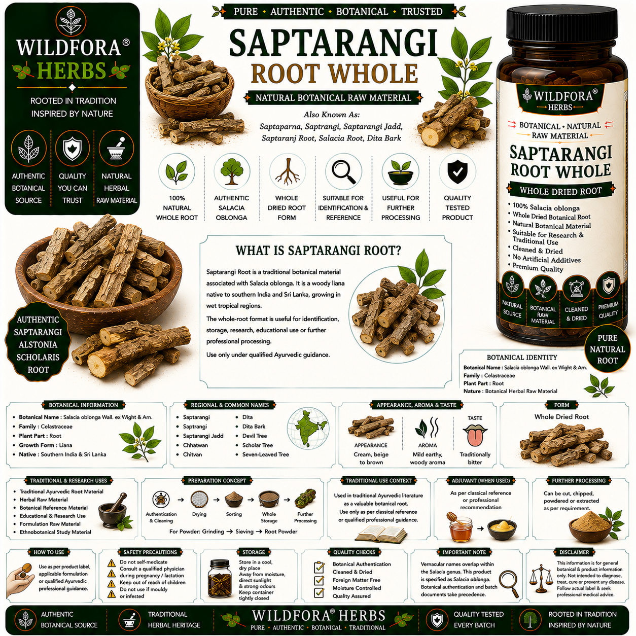 Saptarangi Root Salacia Oblonga Whole | Saptarangi Jadd Natural Herbal Root