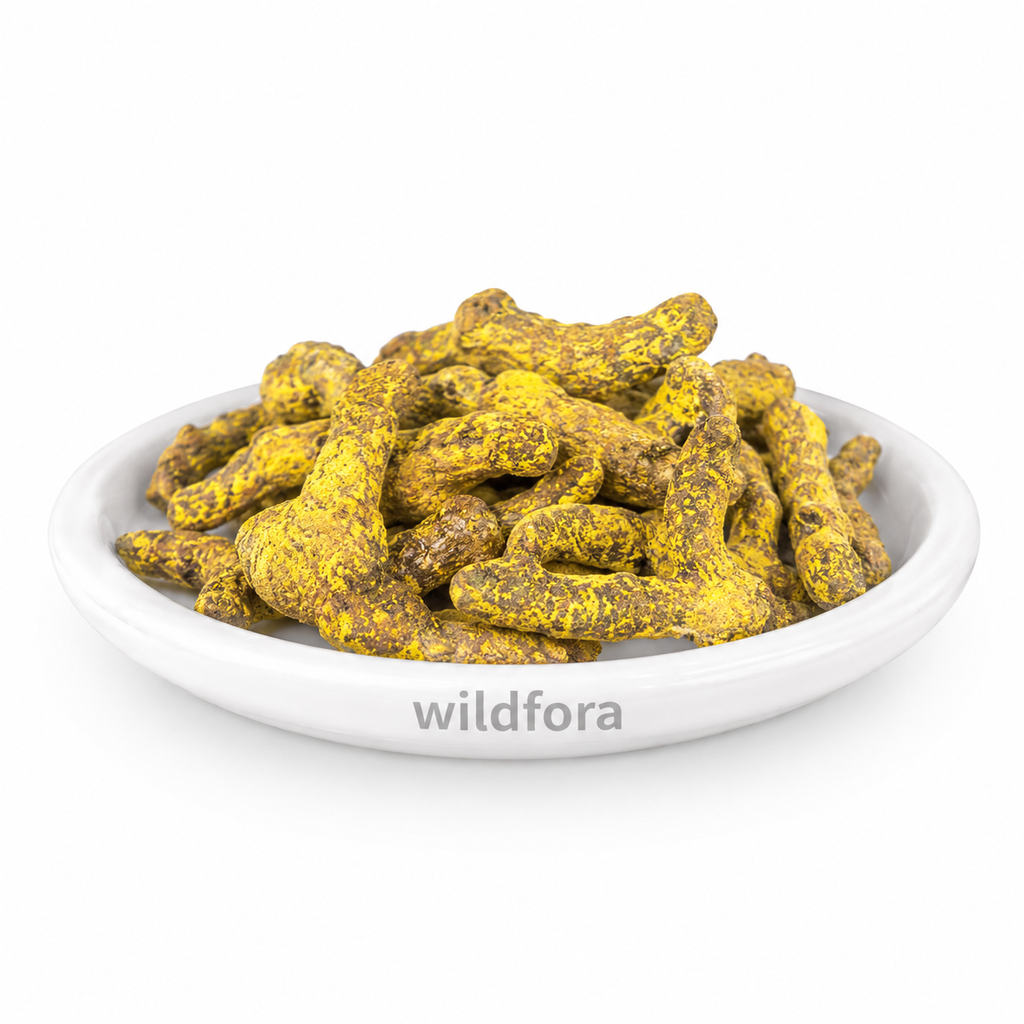 Saptrangi Churna (Salacia oblonga) - Premium Natural Saptarangi Herbal Powder | Botanical Raw Material