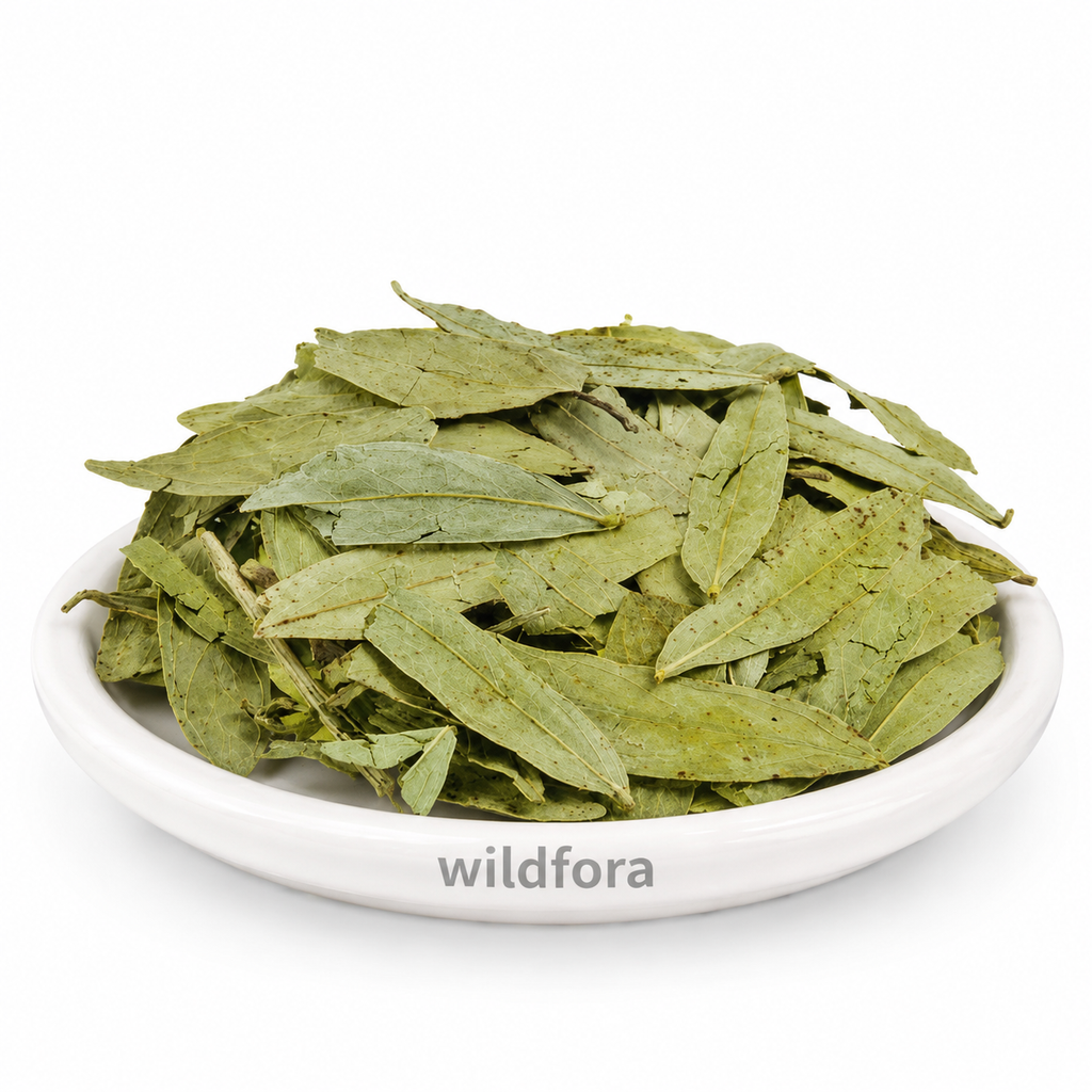 Senna Leaves (Cassia angustifolia) - Premium Natural Whole Senna Leaf | Botanical Raw Material