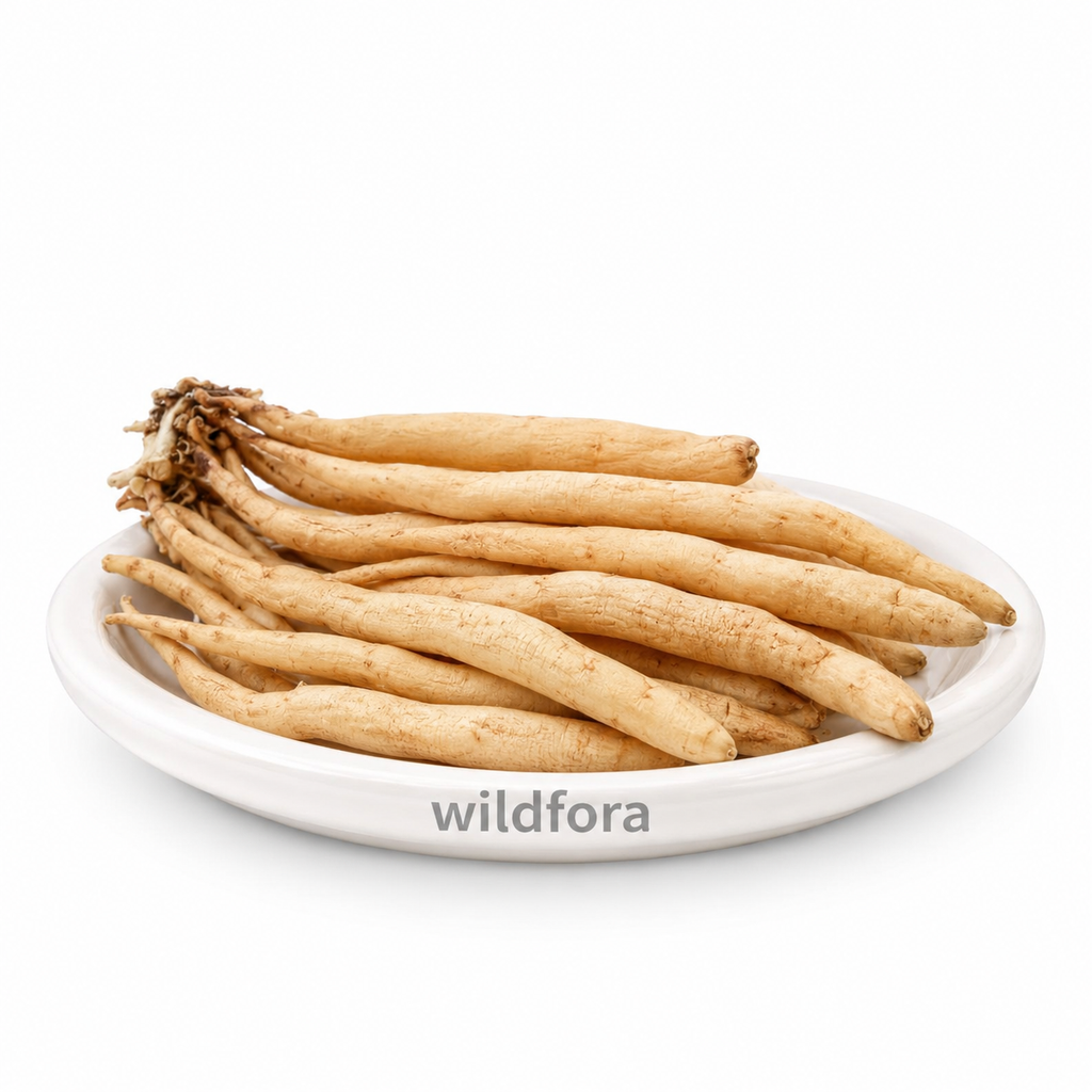 Shatavari Powder (Asparagus racemosus) - Premium Natural Sitawar Root Powder | Botanical Root Powder