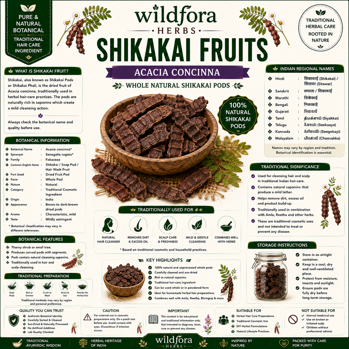 Shikakai Fruits Acacia Concinna Whole – Natural Shikakai Pods & Traditional Uses