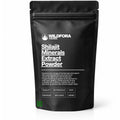 Shilajit Minerals Extract Powder (Asphaltum Dry) - Premium Natural Mineral Resin Powder