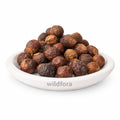 Soap Nut (Sapindus) - Premium Natural Whole Reetha Soapberry | Botanical Raw Material