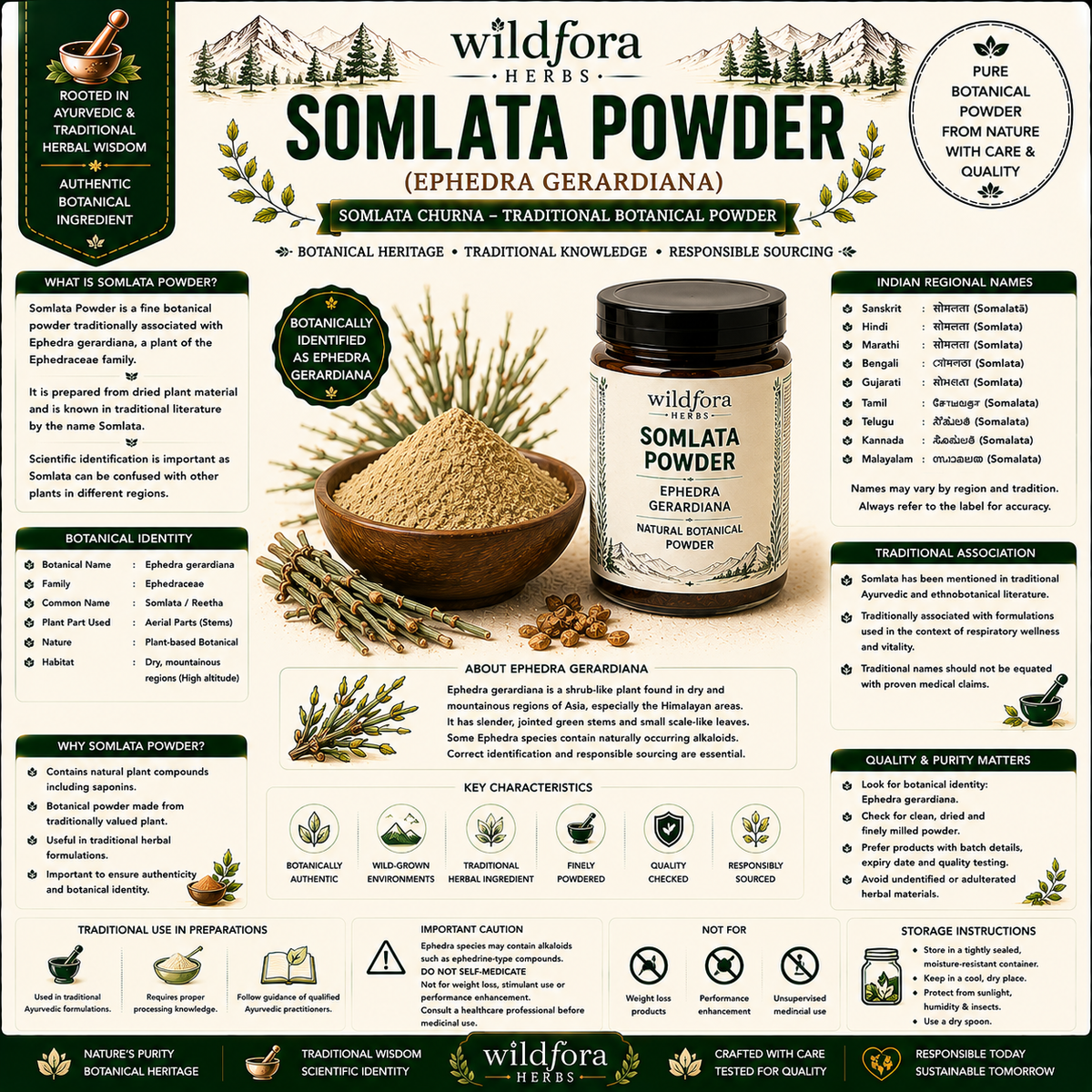 Somlata Powder Ephedra Gerardiana | Somlata Churna