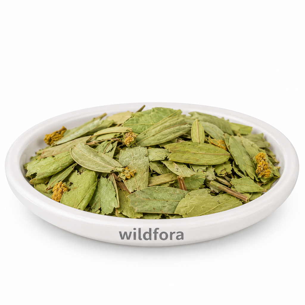 Sonamukhi Powder (Cassia angustifolia) - Premium Natural Senna Leaf Powder | Botanical Herb Powder
