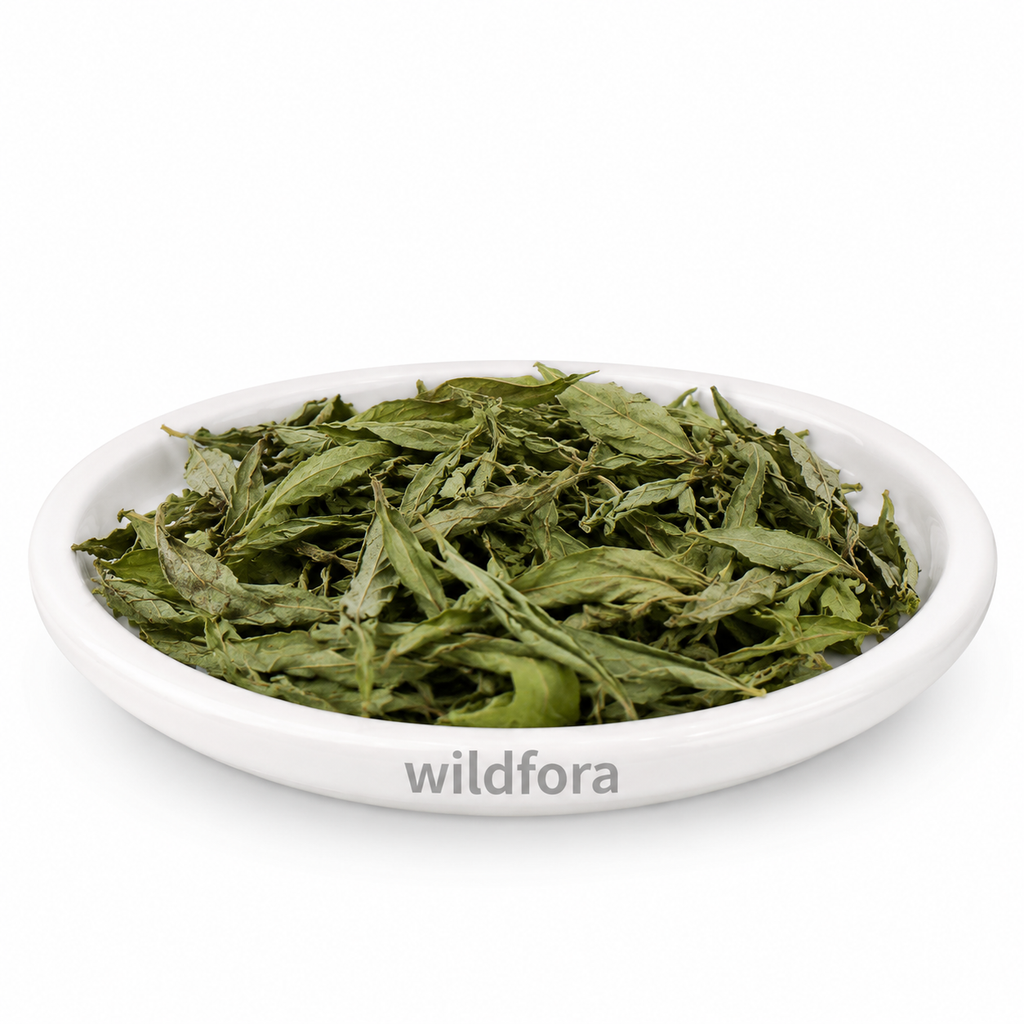 Stevia Pan Powder (Stevia rebaudiana) - Premium Natural Stevia Leaf Powder | Botanical Ingredient