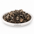 Stone Flower Parmotrema Perlatum Whole Natural Kalpasi Dagad Phool