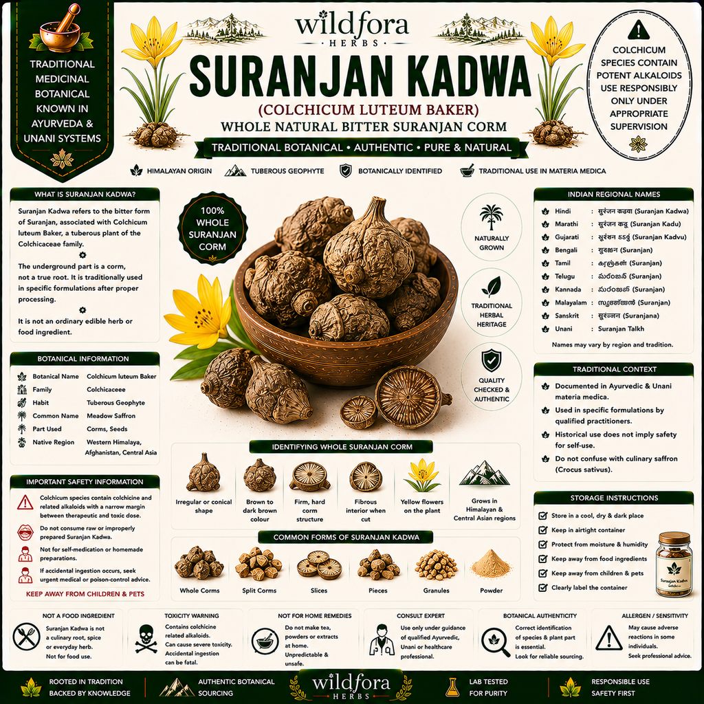 Suranjan Kadwa Colchicum luteum Whole Root | Bitter Suranjan