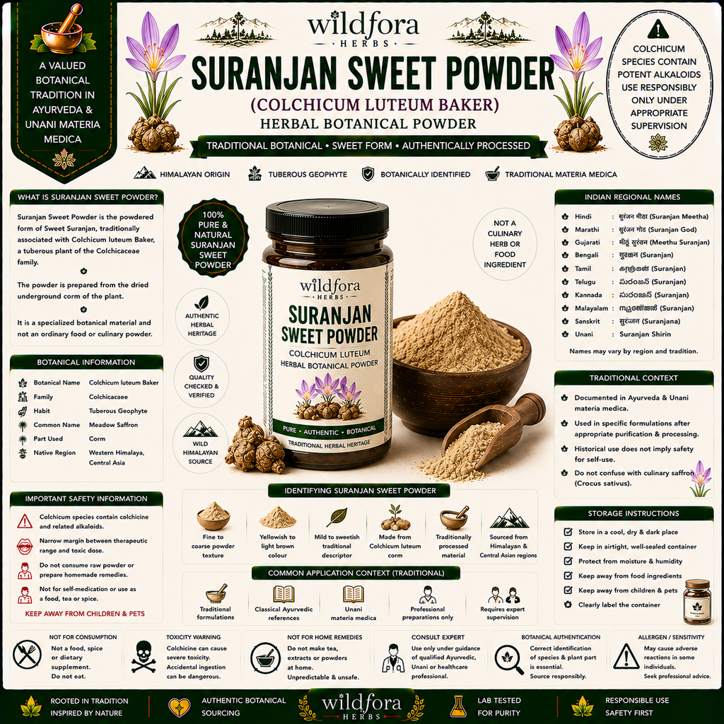 Suranjan Sweet Powder Colchicum Luteum Herbal Powder