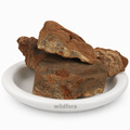 Tejbal (Zanthoxylum armatum) - Premium Natural Whole Aromatic Spice | Food Grade Tejphal