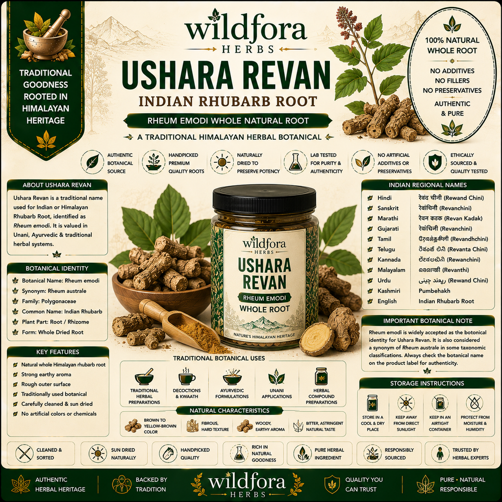 Ushara Revan Rheum Emodi Indian Rhubarb Root