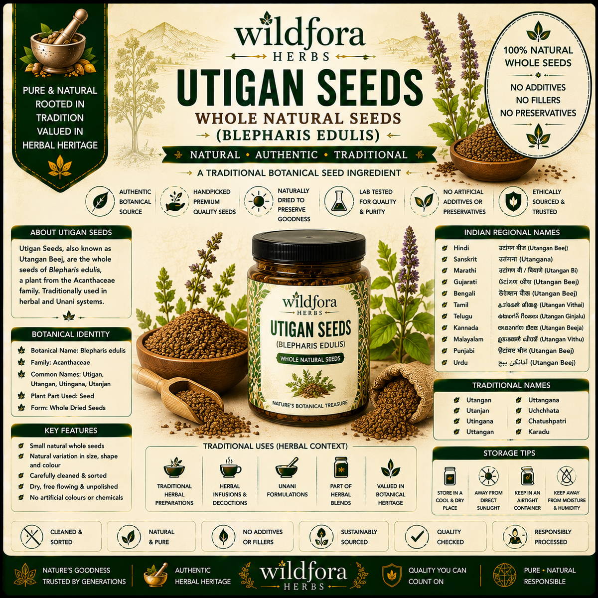Utigan Seeds Blepharis Edulis Whole Natural Herbal Seeds