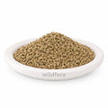 Ajmoda Parsley Whole Apium Graveolens Herbal Product