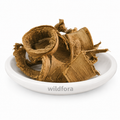 Arlu Chaal Whole Ailanthus excelsa (Shyonaka Bark) - Premium Dried Herbal Bark | Natural Botanical Ingredient