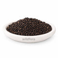 Babchi Seeds Whole (Psoralea corylifolia) - Premium Purple Fleabane Seeds | Natural Botanical Ingredient