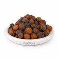 Bakayan Phal Whole (Melia azedarach) - Premium Dried Herbal Fruit | Natural Botanical Ingredient