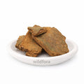 Bakul Chaal Whole (Mimusops elengi) - Premium Dried Maulsari Bark | Natural Botanical Ingredient