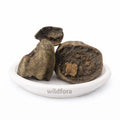 Balam Kheera Phal Whole (Kigelia africana) - Premium Dried Kigelia Fruit | Natural Botanical Ingredient
