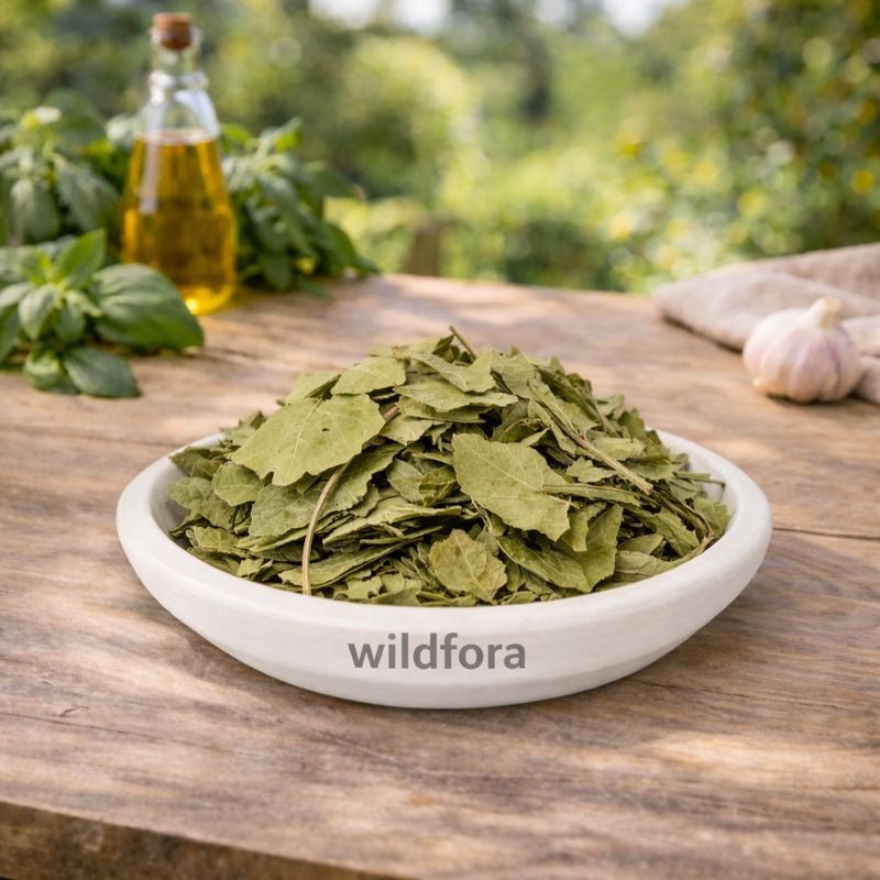 Bel Leaf Dry Aegle Marmelos Whole Herbal Leaves for Traditional Use