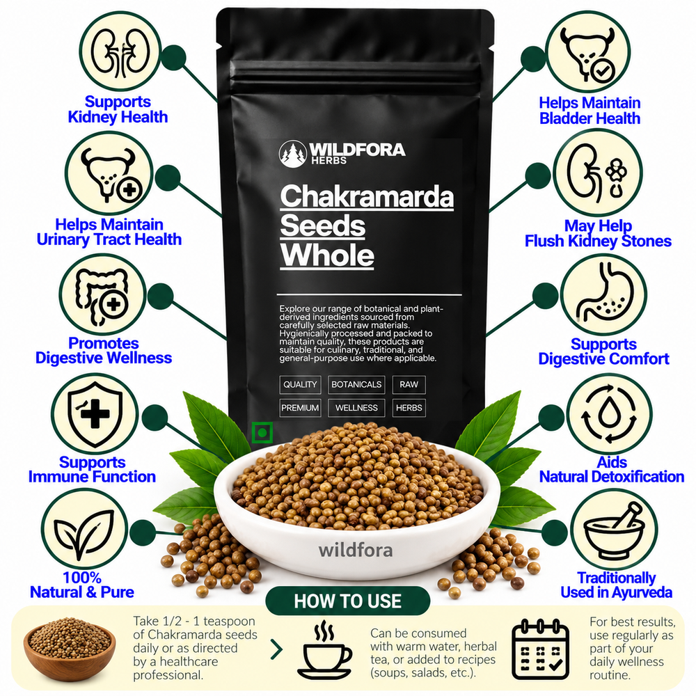 Chakramarda Seeds Whole Cassia Tora Pawar Panwar Seeds Benefits