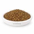 Chakramarda Seeds Whole (Cassia tora) - Premium Pawar Panwar Seeds | Natural Botanical Ingredient