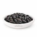 Custard Apple Seeds Whole (Annona squamosa) - Premium Sitaphal Seeds | Natural Botanical Raw Material