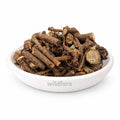Dantimool Whole (Baliospermum montanum) - Premium Natural Danti Root | Botanical Raw Material