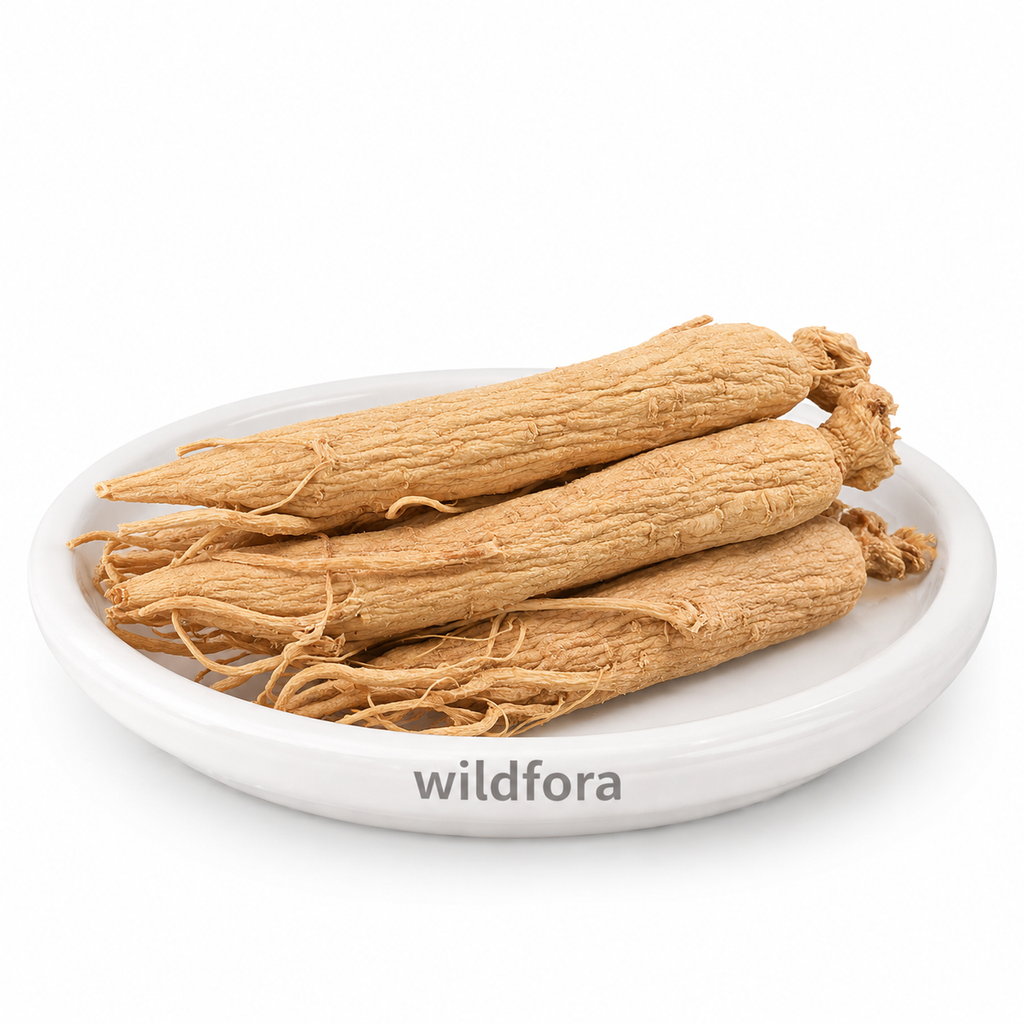 Ginseng Root Whole (Panax ginseng) - Premium Natural Raw Ginseng Root | Botanical Raw Material