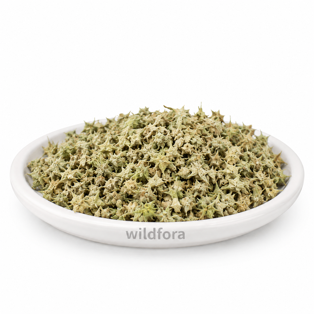 Gokhru Seeds Whole (Pedalium murex) - Premium Natural Gokshura Caltrops Seeds | Botanical Raw Material