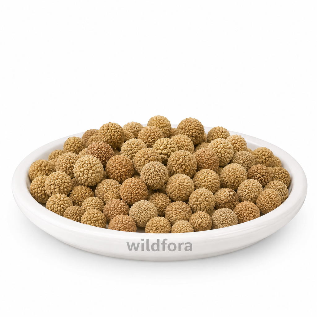 Gorakhmundi Powder Sphaeranthus Indicus | Mundi Herbal Powder