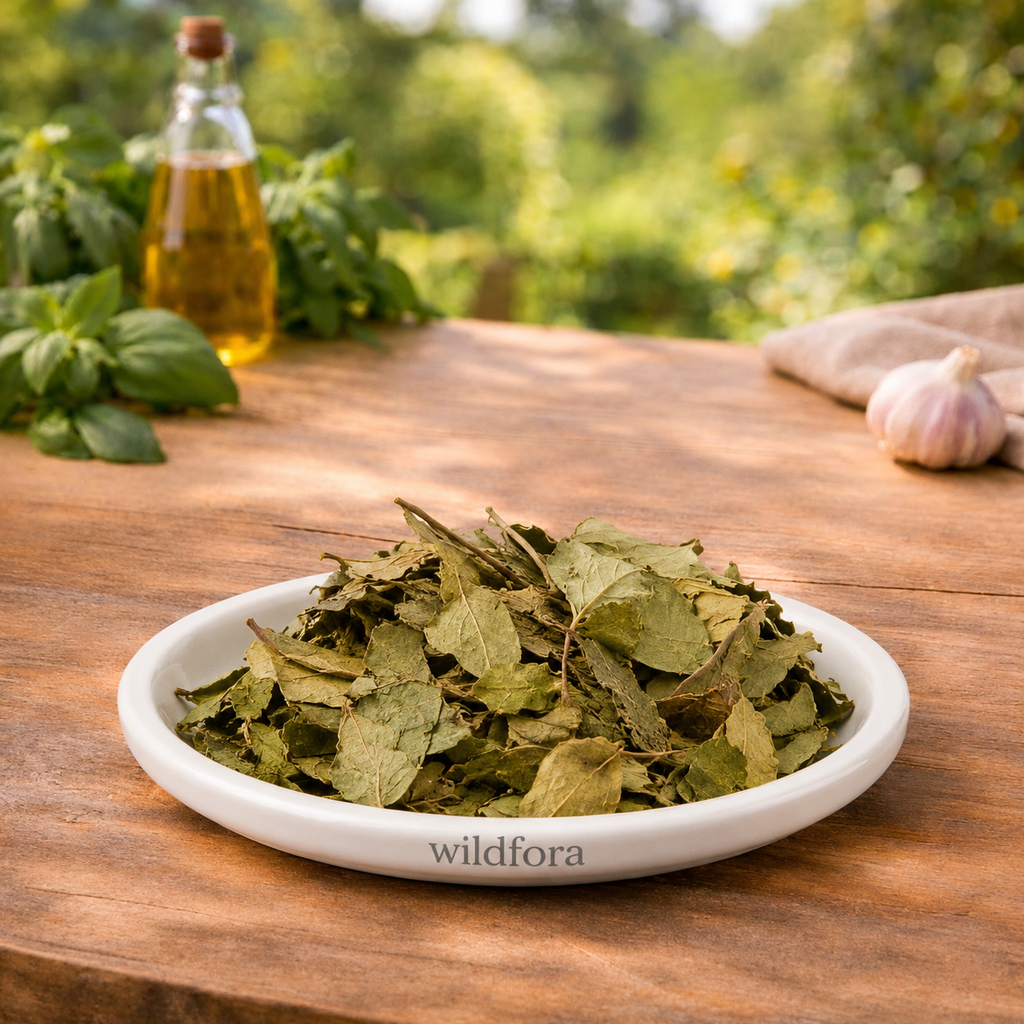 Gudmar Whole (Gymnema sylvestre) - Premium Natural Gurmar Leaves | Botanical Raw Material