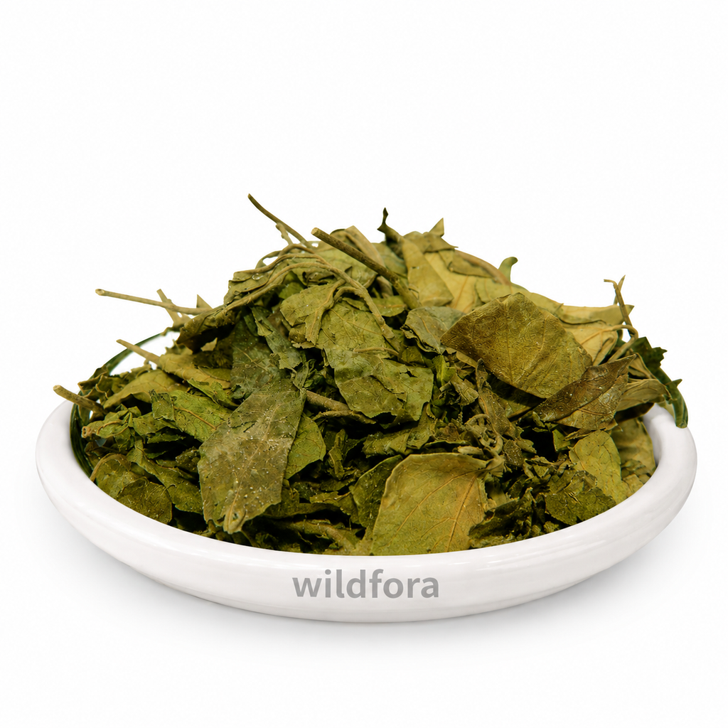 Gudmar Whole (Gymnema sylvestre) - Premium Natural Gurmar Leaves | Botanical Raw Material